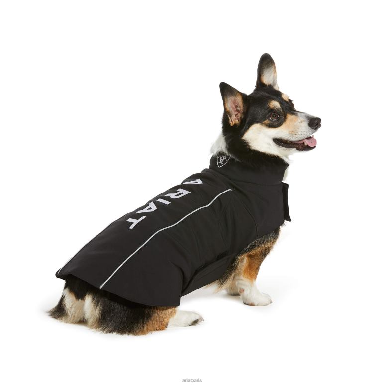 RJ66P2008 veste softshell pour chien Ariat accessoires noir unisexe