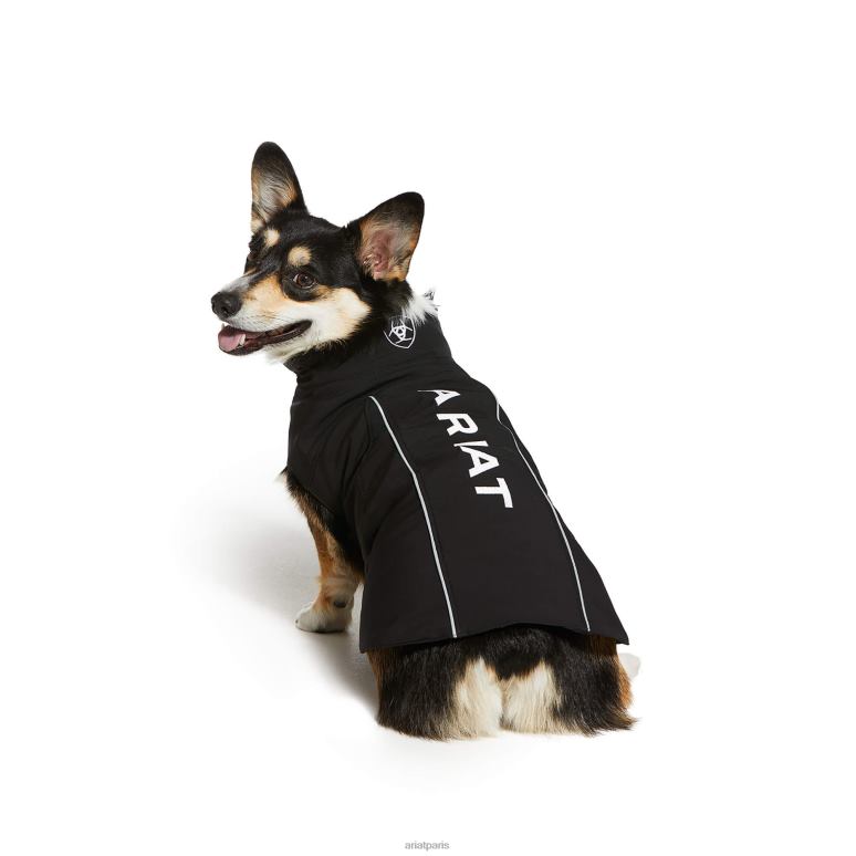 RJ66P2008 veste softshell pour chien Ariat accessoires noir unisexe