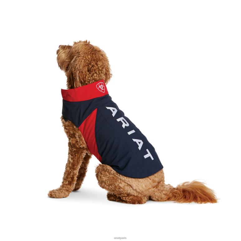 RJ66P2009 veste softshell pour chien Ariat accessoires équipe unisexe