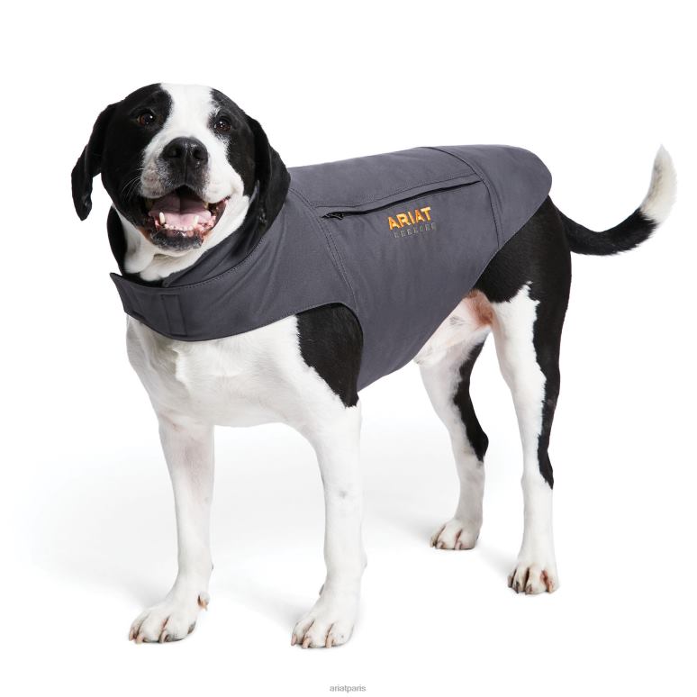 RJ66P2010 veste isolée pour chien duracanvas rebar Ariat accessoires barres d'armature grises unisexe